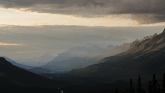 %D0%94%D1%80%D0%BE%D0%B6%D0%B0%D0%BD%D0%B8%D0%B5 для чего нужны видеоэффекты