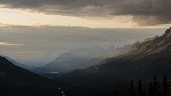 %D0%A0%D0%B0%D0%B7%D0%BC%D1%8B%D1%82%D0%B8%D0%B5 для чего нужны видеоэффекты